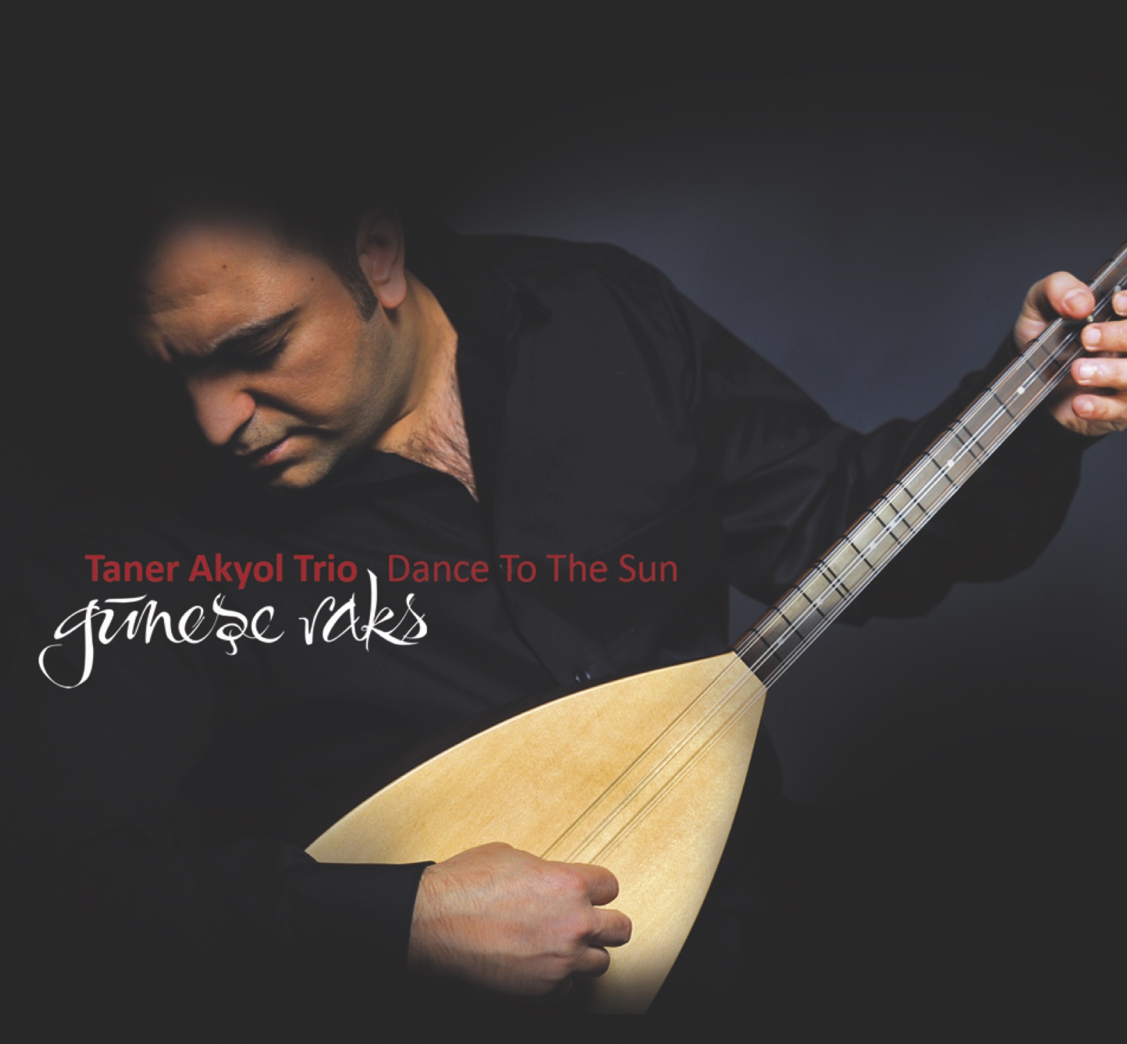Güneşe Raks – Dance to the Sun, Albumcover